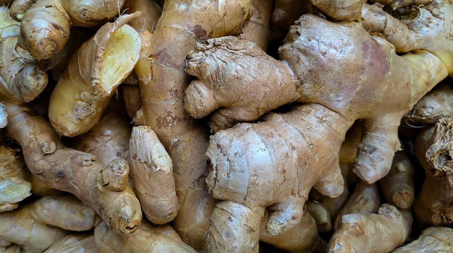 ginger