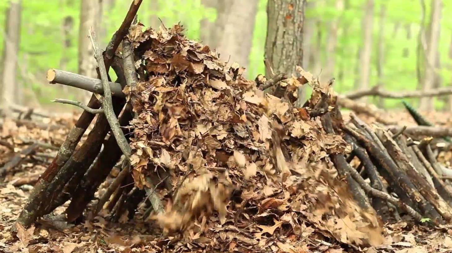 debris-hut