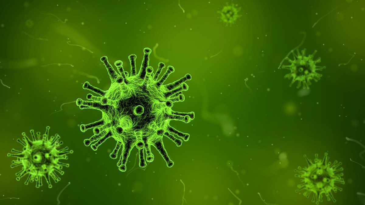 Highly realistic scientific visualization of a norovirus particle, spherical capsid structure with detailed surface proteins, microscopic scale, neutral dark background, accurate biological proportions, subtle depth and shadowing, laboratory microscopy style